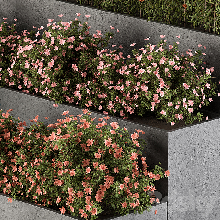 Flower Box – Outdoor Plants 436 3DS Max Model - thumbnail 2