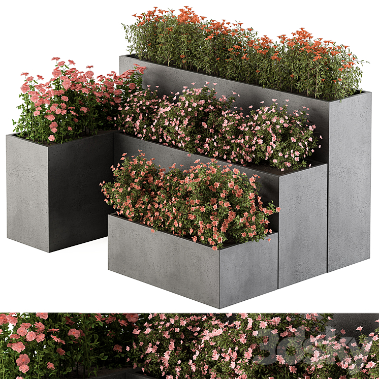 Flower Box – Outdoor Plants 436 3DS Max - thumbnail 1