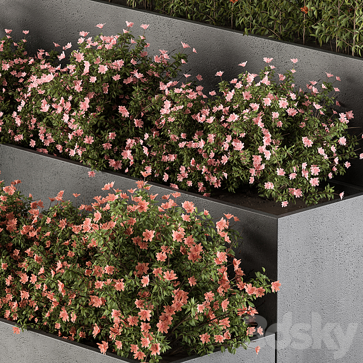 Flower Box – Outdoor Plants 436 3DS Max - thumbnail 2