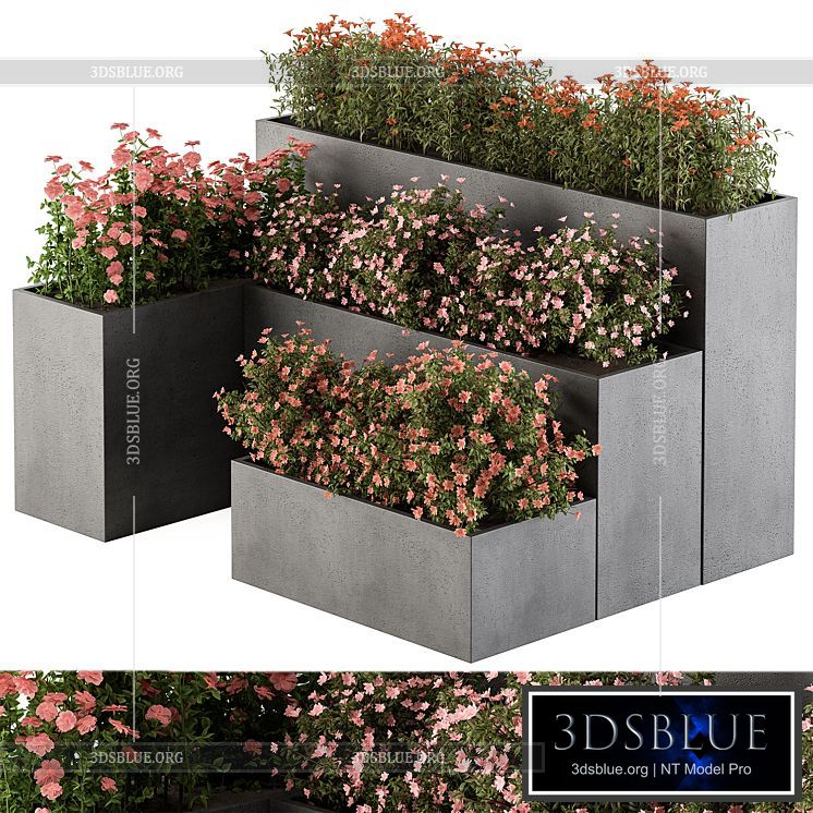 Flower Box – Outdoor Plants 436 3DS Max - thumbnail 3