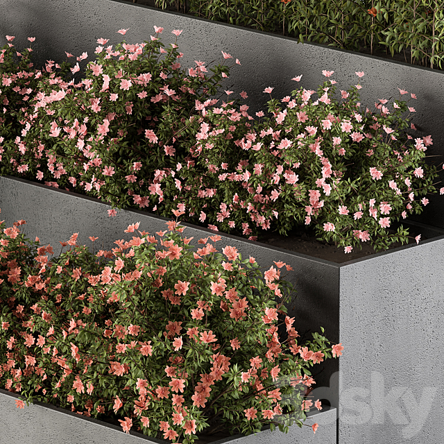 Flower Box – Outdoor Plants 436 3DS Max Model - thumbnail 2