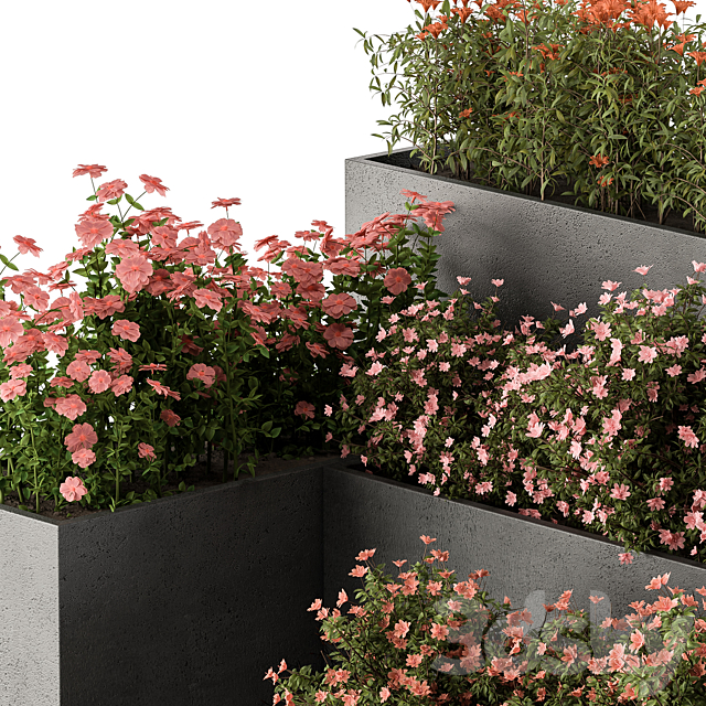 Flower Box – Outdoor Plants 436 3DS Max Model - thumbnail 3