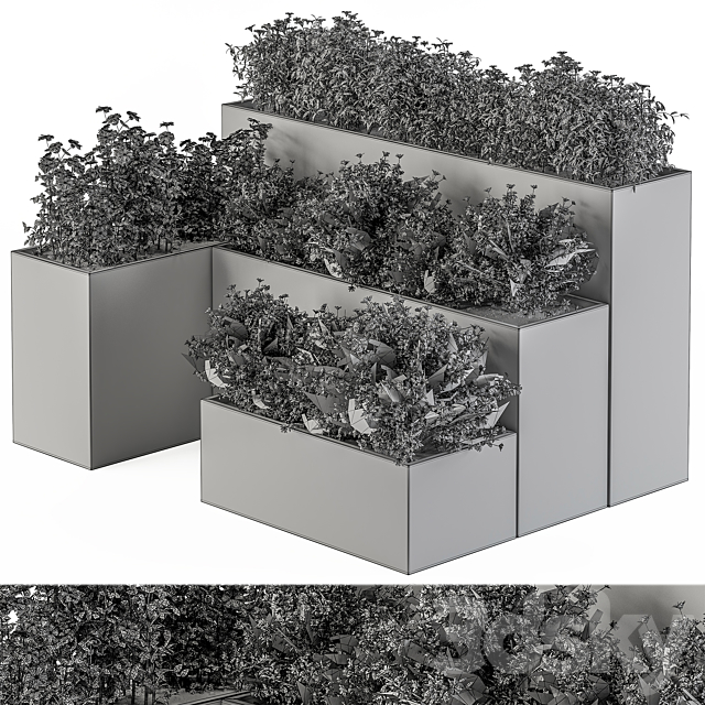 Flower Box – Outdoor Plants 436 3DS Max Model - thumbnail 4