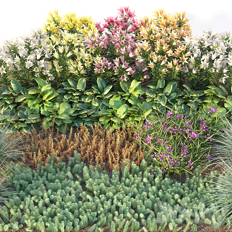 Flower garden 3 3DS Max - thumbnail 2