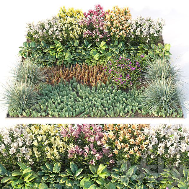 Flower garden 3 3DSMax File - thumbnail 1