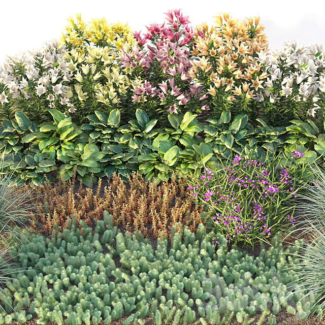 Flower garden 3 3DSMax File - thumbnail 2