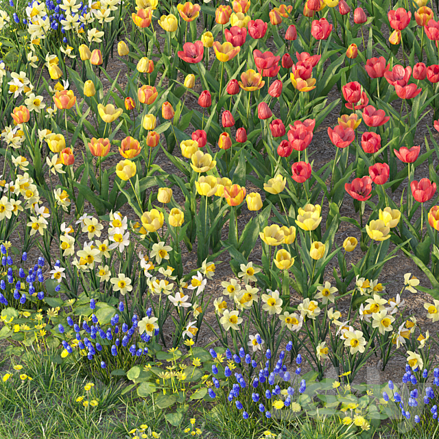 Flower garden 6 3DS Max Model - thumbnail 3