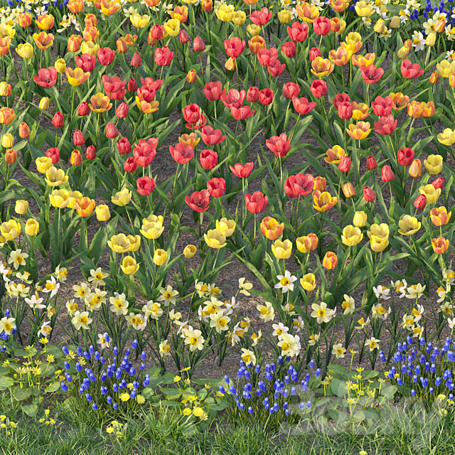 Flower garden 6 3DS Max Model - thumbnail 4