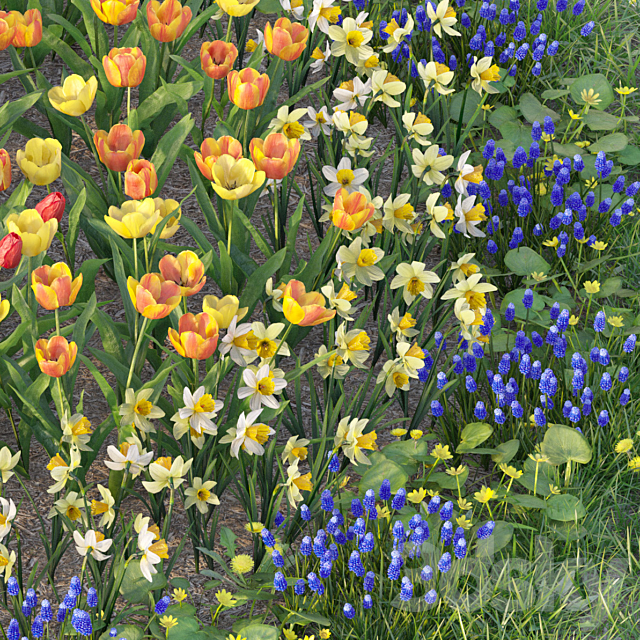 Flower garden 6 3DS Max Model - thumbnail 5