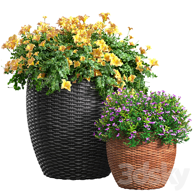 Flowerbed in a garden pot.Flowers Garden Plant Flowerpot Patio Balcony in Provence style 3ds Max - thumbnail 1