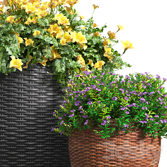 Flowerbed in a garden pot.Flowers Garden Plant Flowerpot Patio Balcony in Provence style 3ds Max - thumbnail 2