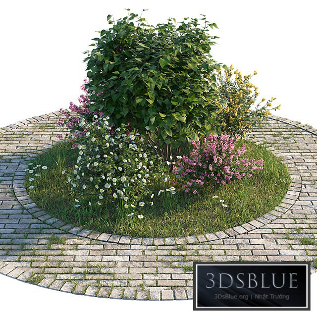 Flowerbed with bushes and grass 3DS Max - thumbnail 3