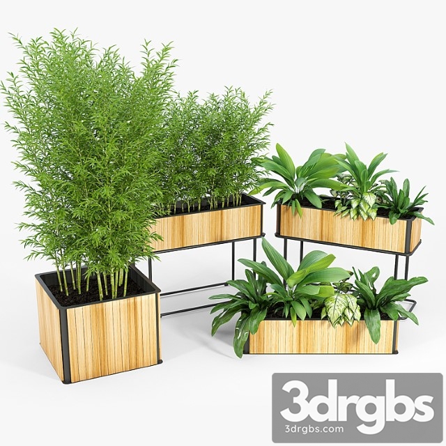 Flowerbox Combine Planters 2 3dsmax Download - thumbnail 1