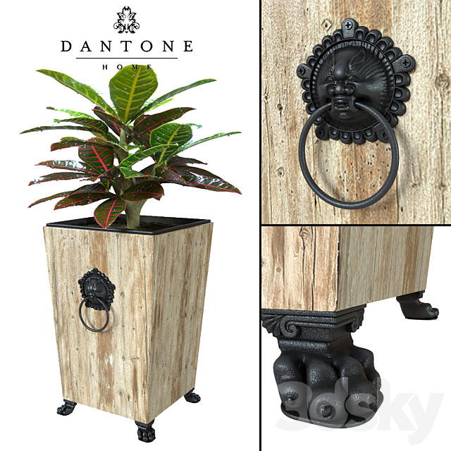 Flowerpot by Dantone Home + codiaeum (perezalivka) 3ds Max - thumbnail 1