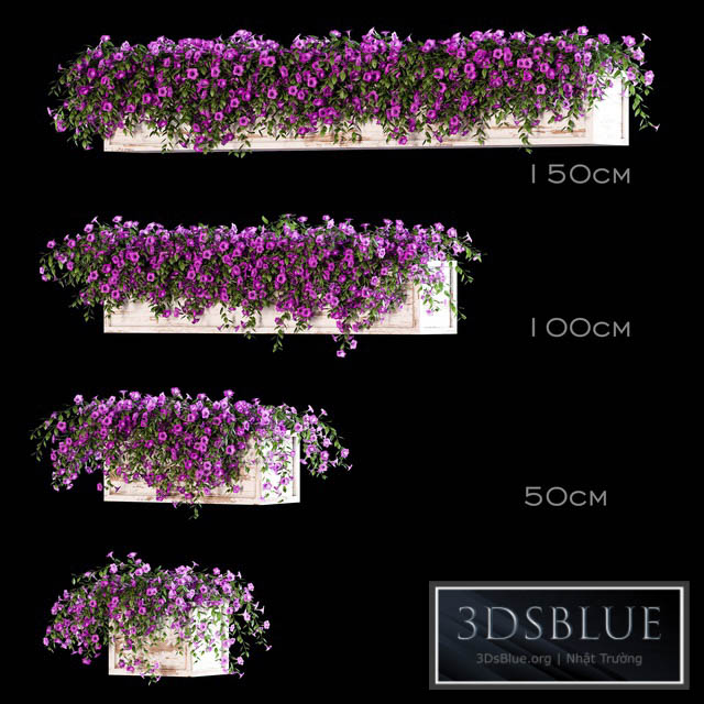 Flowers for the balcony 3DS Max - thumbnail 3