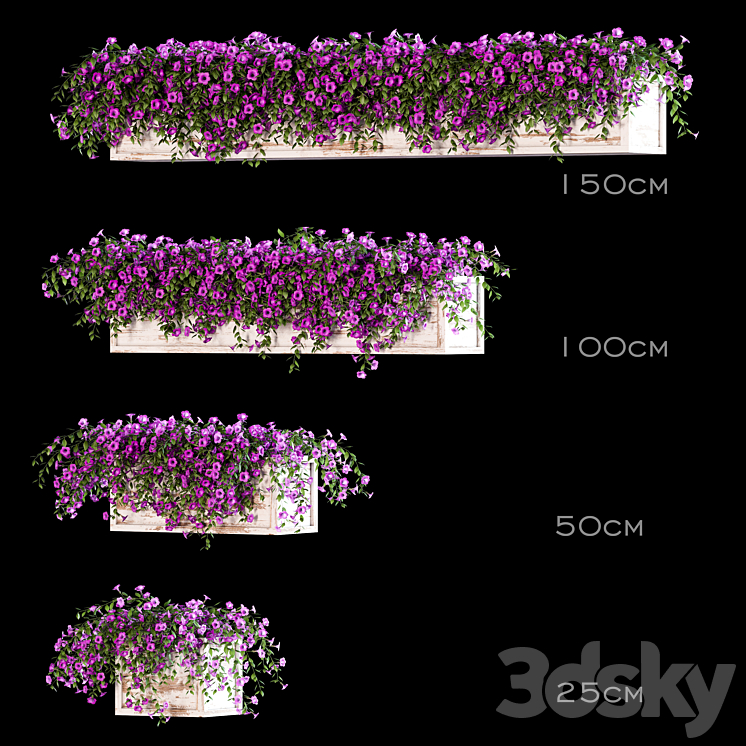 Flowers for the balcony 3DS Max - thumbnail 1