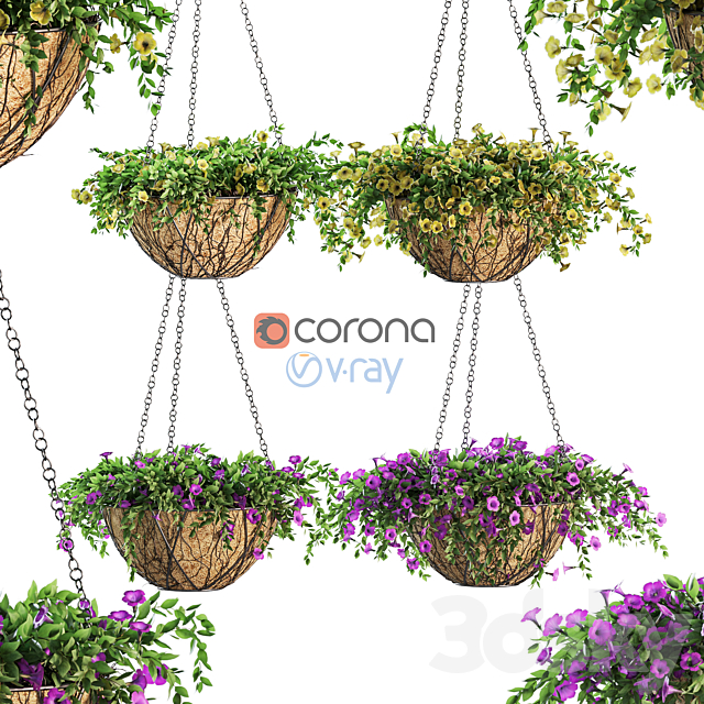 Flowers in a flower pot on a chain. Petunia. 4 models 3DSMax File - thumbnail 1