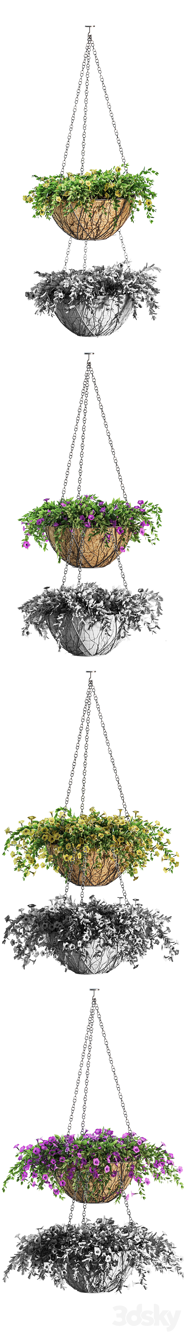 Flowers in a flower pot on a chain. Petunia. 4 models 3DSMax File - thumbnail 2