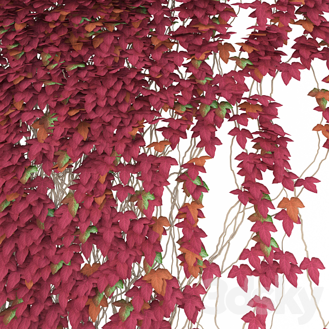 Fragment of red ivy Red Ivy 3DS Max Model - thumbnail 2