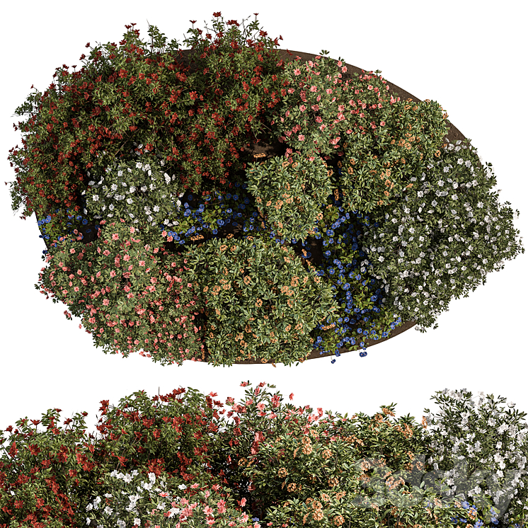 Garden colorful Flower Bush – Set 452 3DS Max Model - thumbnail 2