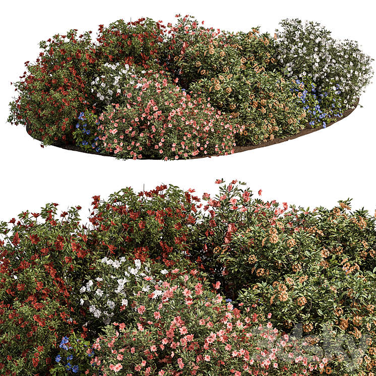 Garden colorful Flower Bush – Set 452 3DS Max Model - thumbnail 3