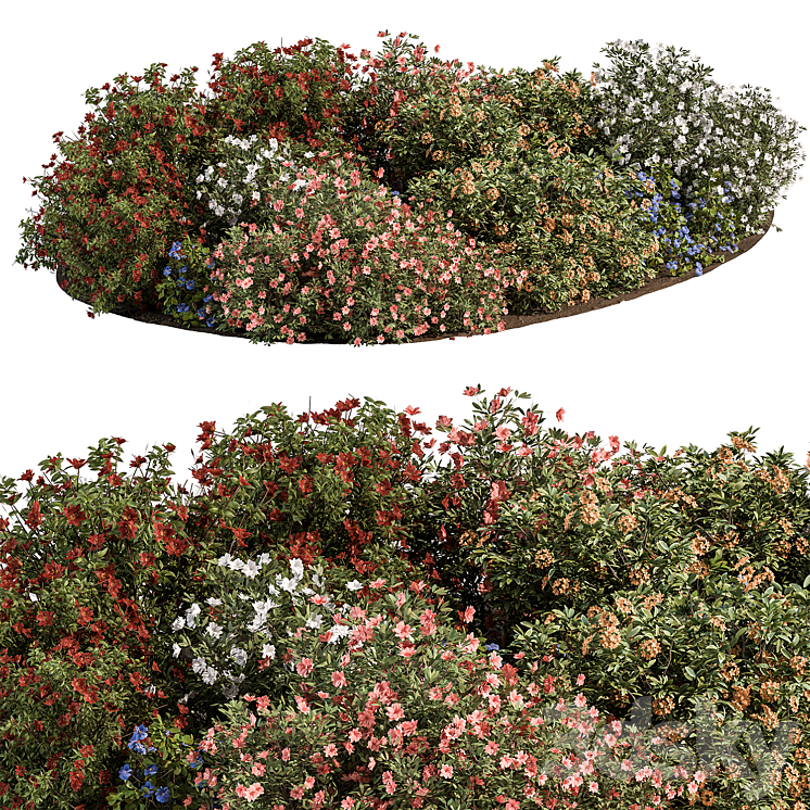 Garden colorful Flower Bush – Set 452 3DS Max - thumbnail 1