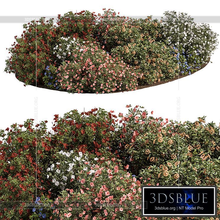 Garden colorful Flower Bush – Set 452 3DS Max - thumbnail 3