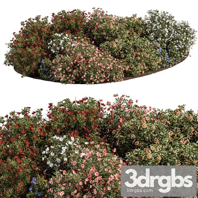 Garden Colorful Flower Bush Set 452 3dsmax Download - thumbnail 1