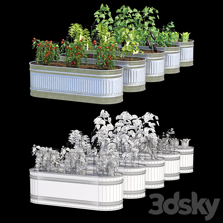 Garden | Kitchen garden 3DS Max - thumbnail 2