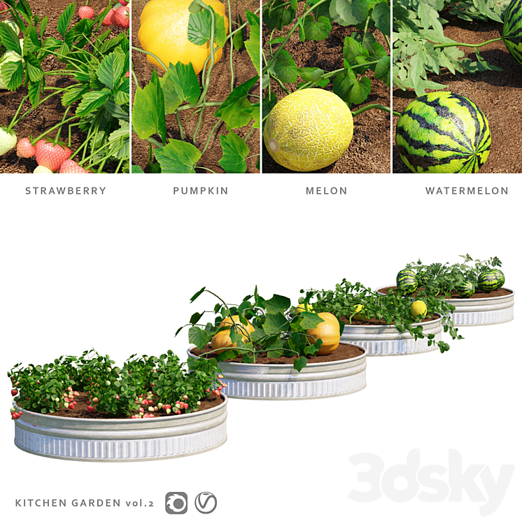 Garden | Kitchen garden.vol 2 3DS Max - thumbnail 1