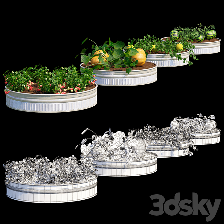 Garden | Kitchen garden.vol 2 3DS Max - thumbnail 2