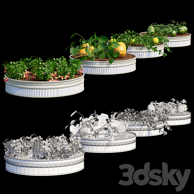 Garden | Kitchen garden.vol 2 3DS Max Model - thumbnail 2