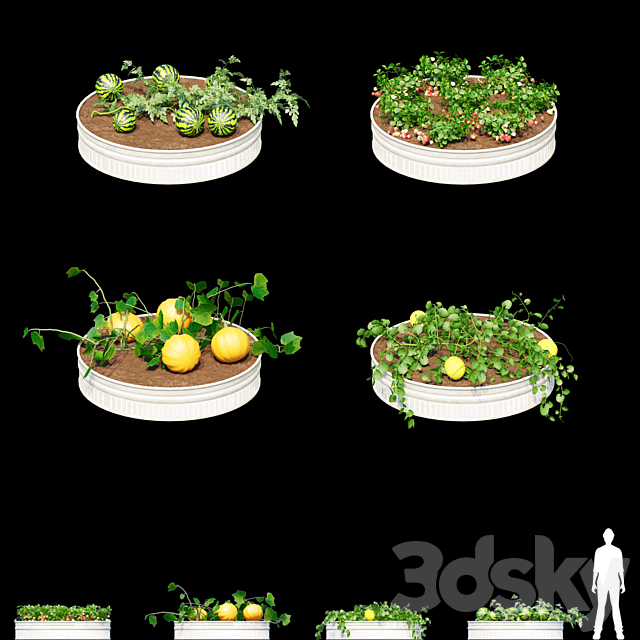 Garden | Kitchen garden.vol 2 3DS Max Model - thumbnail 3