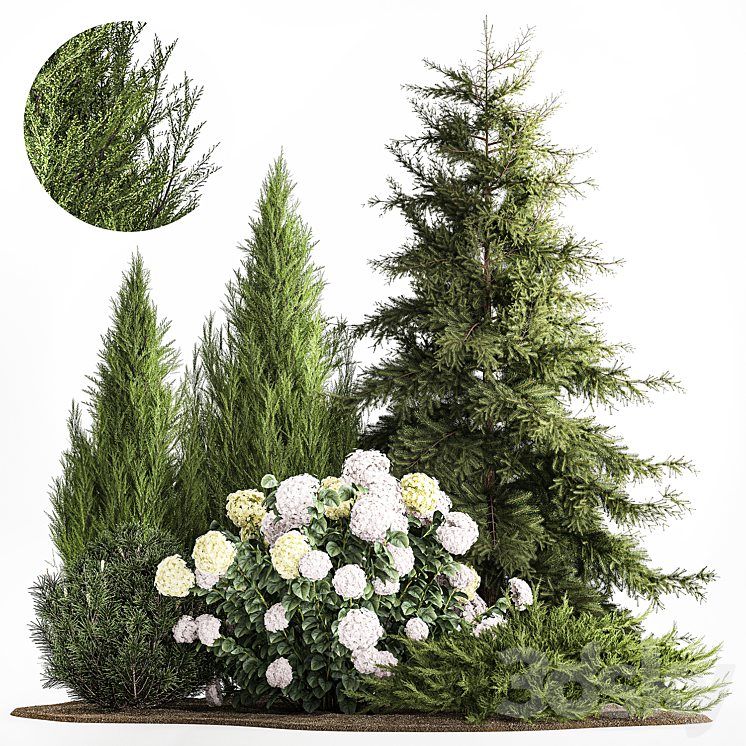 Garden of spruce pine topiary white hydrangea bush flowers juniper alpine hill. Plant set 1181 3DS Max Model - thumbnail 1