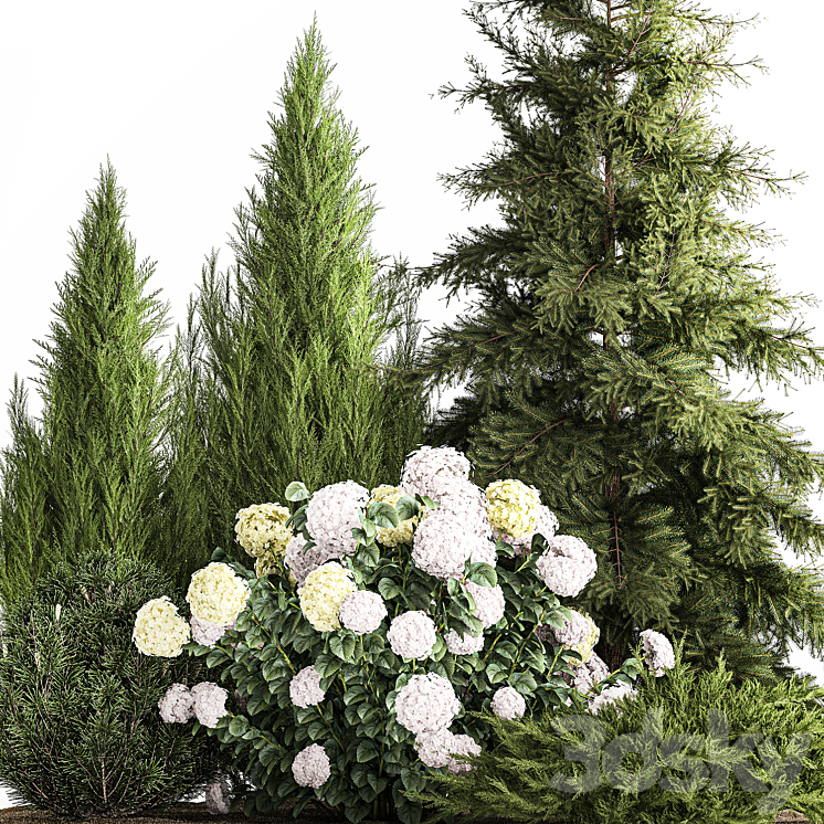 Garden of spruce pine topiary white hydrangea bush flowers juniper alpine hill. Plant set 1181 3DS Max Model - thumbnail 2