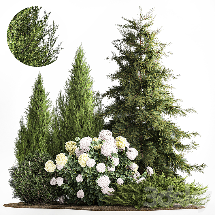 Garden of spruce pine topiary white hydrangea bush flowers juniper alpine hill. Plant set 1181 3DS Max - thumbnail 1