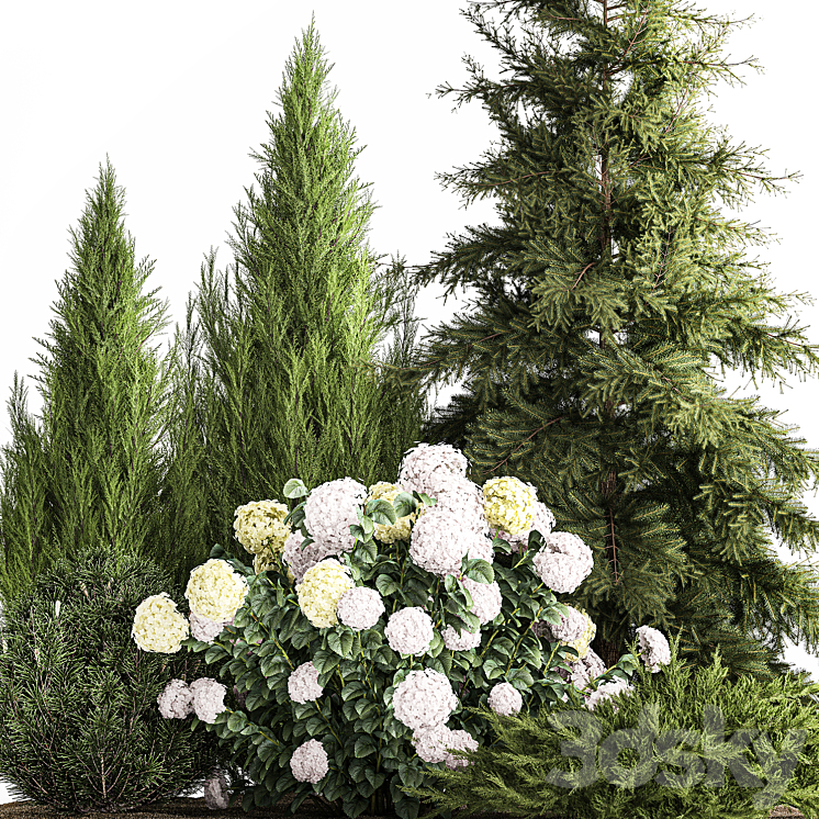 Garden of spruce pine topiary white hydrangea bush flowers juniper alpine hill. Plant set 1181 3DS Max - thumbnail 2