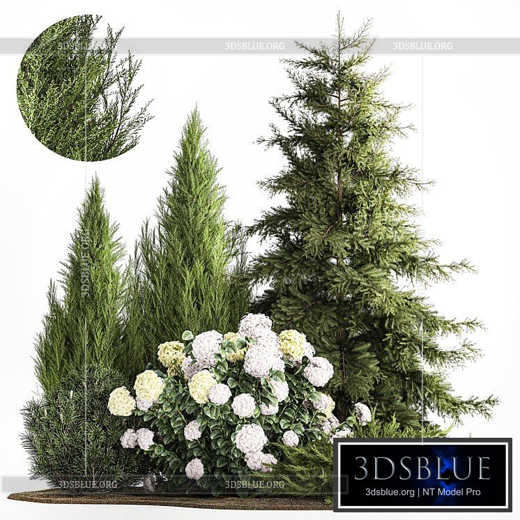 Garden of spruce pine topiary white hydrangea bush flowers juniper alpine hill. Plant set 1181 3DS Max - thumbnail 3