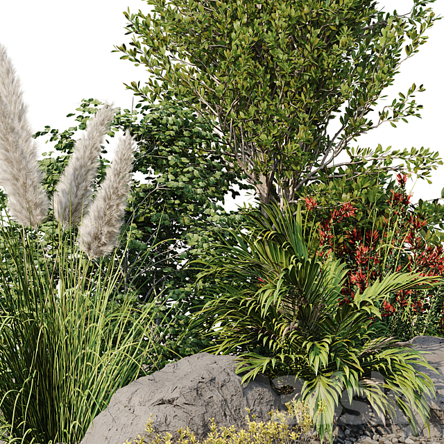 Garden plant set 08 3DS Max Model - thumbnail 2