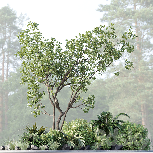 garden pot tree bush – Collection outdoor indoor 113 3DSMax File - thumbnail 4