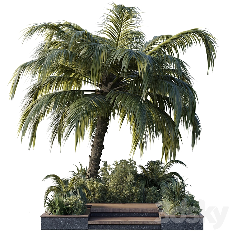 garden pot tree palm bush fern grass concrete base Collection Outdoor plant 102 3DS Max Model - thumbnail 2