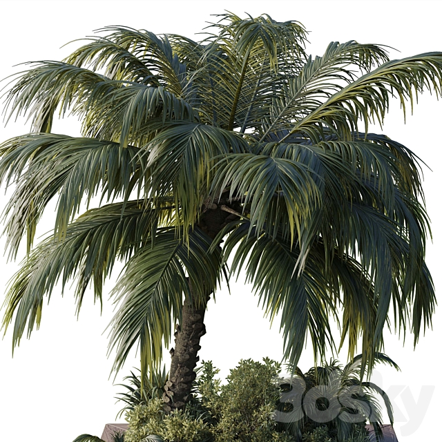 garden pot tree palm bush fern grass concrete base Collection Outdoor plant 102 3DS Max Model - thumbnail 4