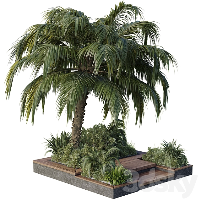 garden pot tree palm bush fern grass concrete base Collection Outdoor plant 102 3DS Max Model - thumbnail 5