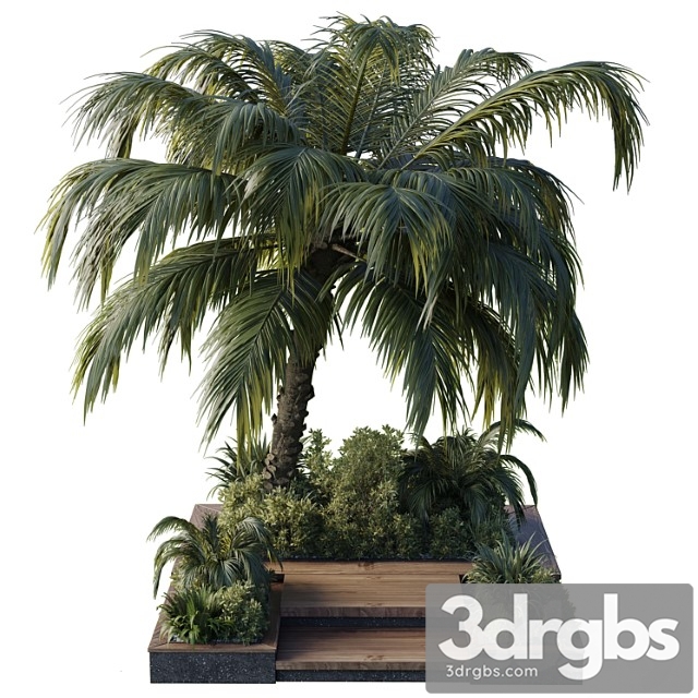 Garden Pot Tree Palm Bush Fern Grass Concrete Base Collection Outdoor Plant 102 3dsmax Download - thumbnail 1