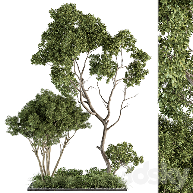 Garden Set Broadleaf Tree – Outdoor Plants Set 360 3DSMax File - thumbnail 1