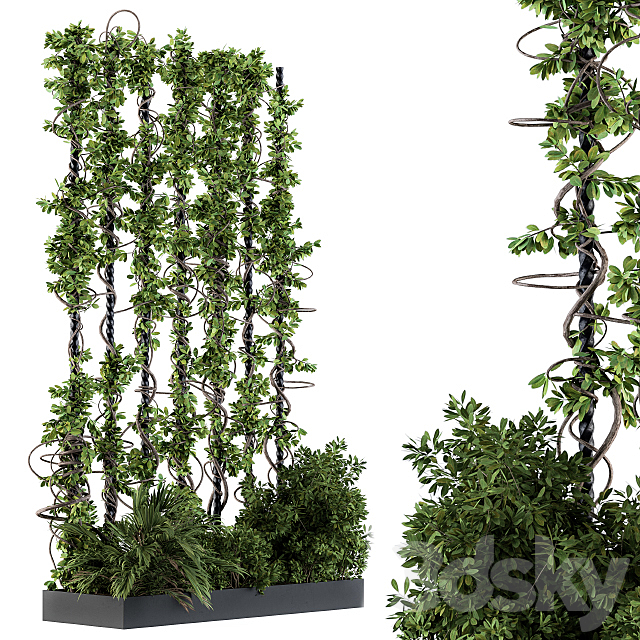 Garden set bush and ivy – Garden Set 09 3ds Max - thumbnail 1