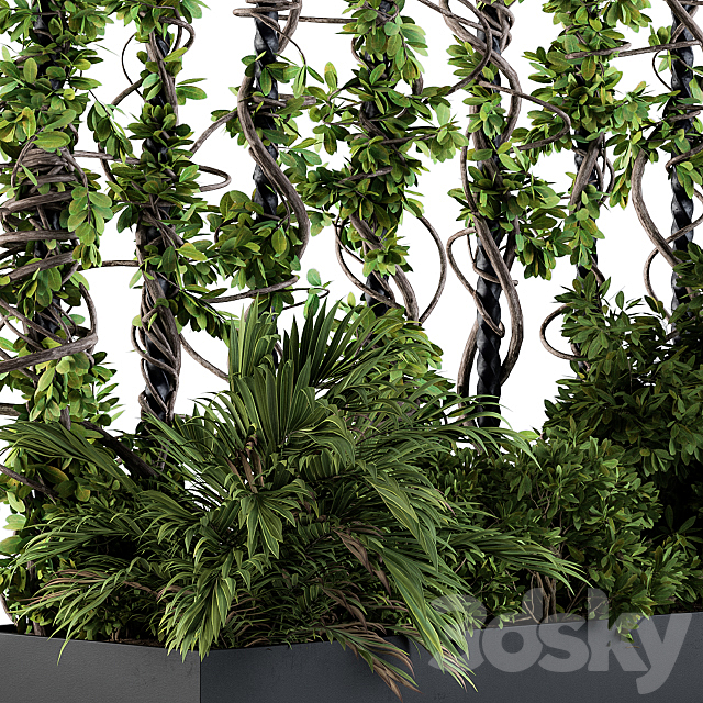 Garden set bush and ivy – Garden Set 09 3ds Max - thumbnail 2