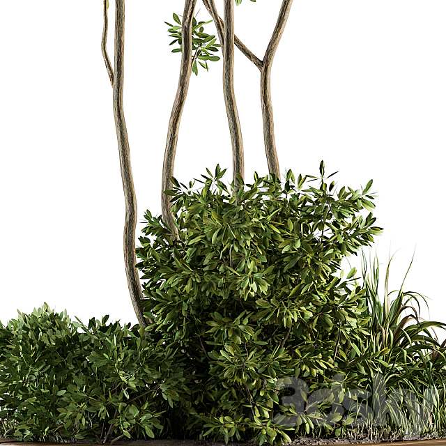 Garden set bush and Tree – Garden Set 04 3DS Max Model - thumbnail 4