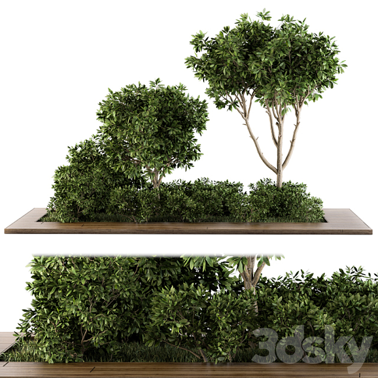 Garden set bush and Tree – Garden Set 07 3DS Max - thumbnail 1