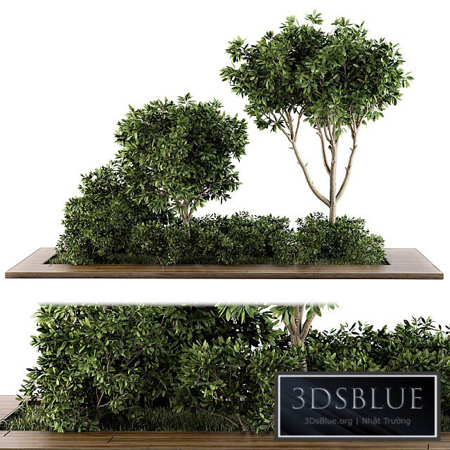 Garden set bush and Tree – Garden Set 07 3DS Max - thumbnail 3